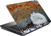 meSleep Cold Animal Vinyl Laptop Decal 15.6   Laptop Accessories  (meSleep)