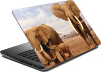 meSleep Elephants Vinyl Laptop Decal 15.6   Laptop Accessories  (meSleep)
