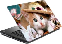 meSleep Cute Baby Cat Vinyl Laptop Decal 15.6   Laptop Accessories  (meSleep)