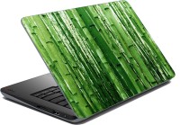 meSleep Bamboos Vinyl Laptop Decal 15.6   Laptop Accessories  (meSleep)