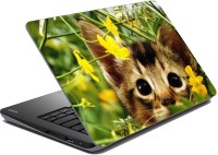 meSleep Wild Small Cat Vinyl Laptop Decal 15.6   Laptop Accessories  (meSleep)