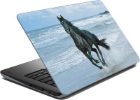 meSleep Horse 01 Vinyl Laptop Decal 15.6   Laptop Accessories  (meSleep)