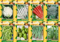 Airex Cauliflower, Radish, Red Carrot, Broccoli, Lobia, Ridge Gourd, Cucumis and Round Gourd Vegetables Seeds (Pack of 15 Seeds * 8 Per Packet) Seed(15 per packet)