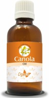 Crysalis CANOLA OIL(10 ml) - Price 125 40 % Off  