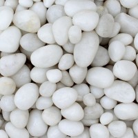 Foodie Puppies White Pebbles Glossy Stones For Home Decorative, Vase Fillers, Aquarium Fish Tank,Garden (Polished 450 g) Aquarium Tool