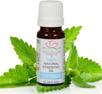 Lotusland 100% Pure & Natural Peppermint Essential Oil(10 ml) - Price 100 50 % Off  