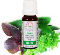 Lotusland 100% Pure & Natural Basil Essential Oil(10 ml) - Price 100 50 % Off  