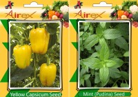 Airex Capsicum Yellow and Mint (Pudina) Vegetables Seed (Pack Of 15 Seed * 2 Per Packet) Seed(15 per packet)