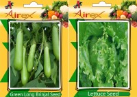 Airex Green Long Brinjal and Lettuce Vegetables Seed + Humic Acid Fertilizer (For Growth of All Plant and Better Responce) 15 gm Humic Acid + Pack Of 30 Seed * 2 Per Packet Seed(30 per packet)