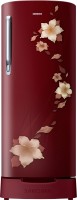 SAMSUNG 192 L Direct Cool Single Door 2 Star Refrigerator with Base Drawer(Star Flower Red, RR19N1822R2-HL/ RR19R2822R2-NL)