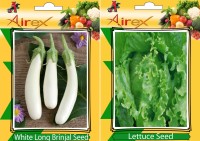 Airex White Long Brinjal and Lettuce Vegetables Seed (Pack Of 20 Seed White Long Brinjal + 20 Lettuce) Seed(20 per packet)