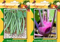 Airex Lobia, Knol Khol Purple Viena Seed(15 per packet)