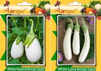 Airex White Round Brinjal and White Long Brinjal Vegetables Seed + Humic Acid Fertilizer (For Growth of All Plant and Better Responce) 15 gm Humic Acid + Pack Of 30 Seed White Round Brinjal + 30 White Long Brinjal Seed(30 per packet)