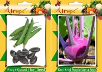Airex Ridge Gourd and Knol Khol Purple Viena Vegetables Seed + Humic Acid Fertilizer (For Growth of All Plant and Better Responce) 15 gm Humic Acid + Pack Of 30 Seed Ridge Gourd + 30 Knol Khol Purple Viena Seed(30 per packet)