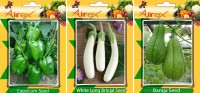 Airex Capsicum, White Long Brinjal and Banga Vegetables Seed (Pack Of 15 Seed Capsicum + 15 White Long Brinjal + 15 Banga Seed) Seed(15 per packet)