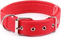 Furious3D Dog Everyday Collar(Medium, RED)