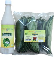 Soursop4Cancer Soursop Fruit JUice and Soursop Leaves - 15 Days Dosage | Graviola | Laxman Phal | Guyabano Combo(1)