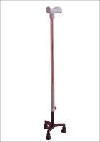 SAURASHTRA DH11 Walking Stick - Price 444 79 % Off  
