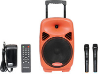 Wizzit Heavy Duty 8 Inch Professional Karaoke Bluetooth PA System Portable Rechargeable Trolley Speaker with 2 Wireless Microphone, Remote Control, FM Radio, AUX/TF/USB # 50W Outdoor PA System(50 W)