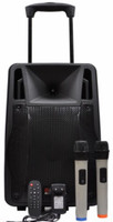 Persang Karaoke Bass Hunter Trolley Portable Speaker 12 inch with 2 Wireless Microphone Music System Set / FM Radio / USB / Audio Input / Rechargeable Battery Outdoor PA System(120 W)
