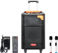 Wizzit 12 Inch High End Karaoke Bluetooth PA System Portable Rechargeable Trolley Speaker with 2 Wireless Microphone, Remote Control, FM Radio, AUX/TF/USB # 100W Outdoor PA System(100 W)