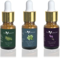 Maverick Pure Lavender, Peppermint & Tea Tree essential oil 3 in 1 pack with dropper(10 ml) - Price 499 80 % Off  