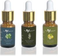 Maverick Pure Rosemary, Peppermint & Lemon essential oil 3 in 1 pack with dropper(10 ml) - Price 499 80 % Off  