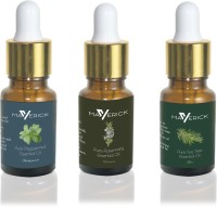 Maverick Pure Rosemary, Peppermint & Tea Tree essential oil 3 in 1 pack with dropper(10 ml) - Price 499 80 % Off  