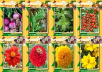 Airex Onion, Cluster Bean, Mint (Pudina), Tomato Cherry, Tithonia, Red Zinnia, Sungold and Yellow Cosmos Seed (Pack Of 20 seed * 4 Per Pkts of Vegetables) + (Pack Of 20 Seed * 4 Per Pkts Flower) Seed Seed(20 per packet)