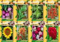 Airex Onion, Cluster Bean, Mint (Pudina), Tomato Cherry, Sunflower, Amaranthus, Vinca and Cockscomb Tall Red Seed (Pack Of 25 seed * 4 Per Pkts of Vegetables) + (Pack Of 25 Seed * 4 Per Pkts Flower) Seed + Get 1 Pkts of Herb Seed Free Seed(25 per packet)