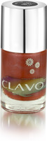 Clavo Long Wear frosty Nail Polish Bricks(11 ml) - Price 140 29 % Off
