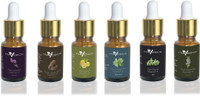 Maverick Pure Lavender, Rosemary, Cedarwood, Thyme, Peppermint & Lemon essential oil 6 in 1 pack with dropper(10 ml) - Price 840 83 % Off