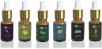 Maverick Pure Lavender, Rosemary, Thyme, Peppermint, Lemon & Tea Tree essential oil 6 in 1 pack with dropper(10 ml) - Price 850 83 % Off  