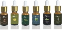 Maverick Pure Rosemary, Cedarwood, Thyme, Peppermint, Lemon & Tea Tree essential oil 6 in 1 pack with dropper(10 ml) - Price 870 82 % Off  