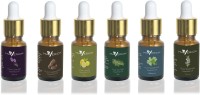 Maverick Pure Lavender, Rosemary, Cedarwood, Peppermint, Lemon & Tea Tree essential oil 6 in 1 pack with dropper(10 ml) - Price 870 82 % Off  