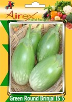 Airex Green Round Brinjal IS 5 (Hybrid) Vegetables Seed (6 Packet Of Bottle Gourd (Dhari Loki) Seed (Pack of AVG 40-50 Seed * 6 Per Packet) Seed(300 per packet)