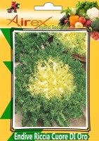 Airex Endive Riccia Cuore DI Oro Seed (2 Packet Of Endive Riccia Cuore DI Oro Seed (Pack of AVG 40 - 50 Seed * 2 Per Packet) Seed(100 per packet)
