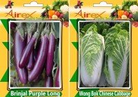 Airex Brinjal Purple Long and Wong Bok Chinese Cabbage Seed (Pack of 20 Seed Brinjal Purple Long + 20 Seed Wong Bok Chinese Cabbage)Seed Seed(40 per packet)