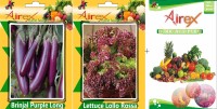 Airex Brinjal Purple Long and Lettuce Lollo Rossa Seed + Humic Acid Fertilizer (For Growth of All Plant and Better Responce) 15 gm Humic Acid + Pack of 50 Seed Brinjal Purple Long + 50 Seed Lettuce Lollo Rossa)Seed Seed(100 per packet)