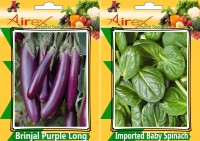 Airex Brinjal Purple Long and Imported Baby Spinach Seed (Pack of 20 Seed Brinjal Purple Long + 20 Seed Imported Baby Spinach Seed Seed(40 per packet)