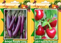 Airex Brinjal Purple Long and Chilli F1 Hybrid Red pearl Queen Seed (Pack of 20 Seed Brinjal Purple Long + 20 Seed Chilli F1 Hybrid Red pearl Queen)Seed Seed(40 per packet)