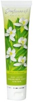 Generic Perfumes Of Hawaii Body lotion(118.3 ml) - Price 19543 28 % Off  