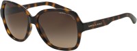 A/X ARMANI EXCHANGE Over-sized Sunglasses(For Women, Brown)