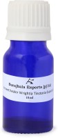 Ancient Healer 100% Natural Wrightia Tinctoria oil(10 ml) - Price 95 52 % Off  