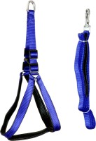 Pet Club51 Spike Collar Dog Everyday Collar(Medium, Blue)
