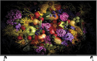 Panasonic FX730 Series 139 cm (55 inch) Ultra HD (4K) LED Smart TV(TH-55FX730D) Panasonic FX730 Series 139 cm (55 inch) Ultra HD (4K) LED Smart TV(TH-55FX730D)