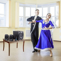 envent deejay 310 multimedia home audio speaker