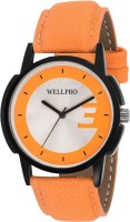 wellpro WP3041