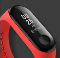 mi fitness band 3 flipkart