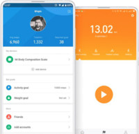 mi fitness band 3 flipkart